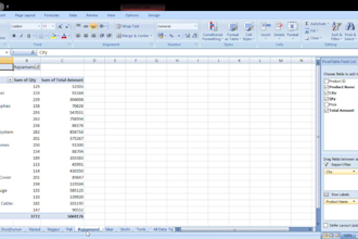 create professional excel dashboard and charts