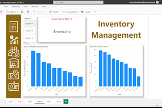create professional custom power bi dashboards
