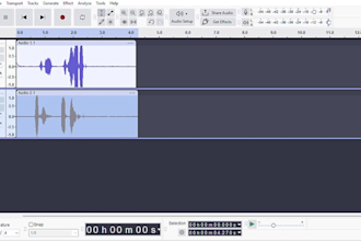 remove background noise and clean your audio professionally