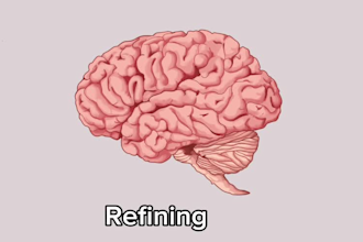 draw custom medical illustrations and scientific diagrams