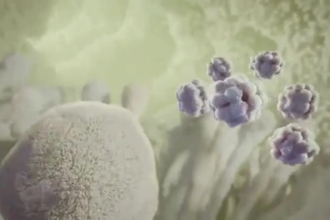 create 3d medical device animation for fda approval