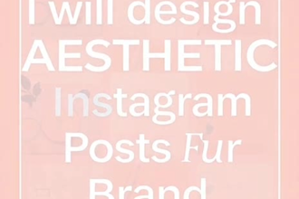 design aesthetic instagram posts in canva