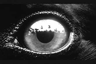 create an ai assisted cinematic visual video for your music