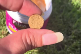 create authentic pet ugc videos for your pet brand and products