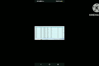 clean and format data professionally and clean messy data