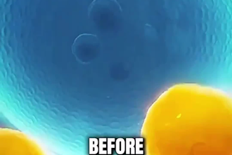 create high quality viral dr data style ai skeleton shorts for youtube