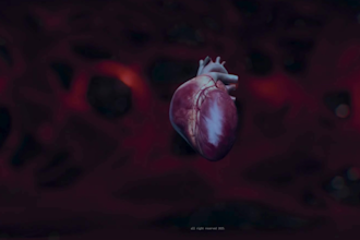create 360 VR medical animation for cardiac surgery anatomy training