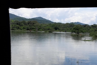 create ai assisted cinematic documentary videos