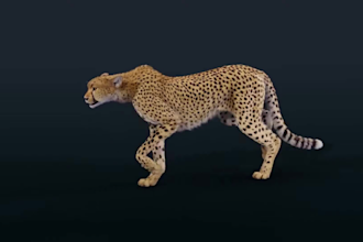 3d wildlife creature,cat,dog,leopard,bear,bird,vr game 3d animal model,fur groom