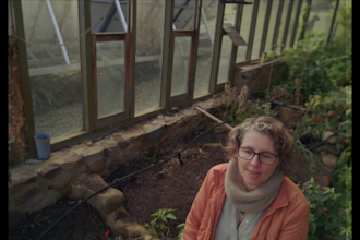 colour grade and colour correct your footage professionally