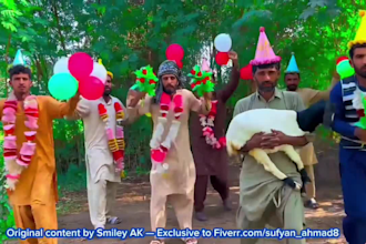 happy birthday video africa or happy birthday video