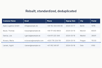 clean up and format your messy excel spreadsheet or CSV data file