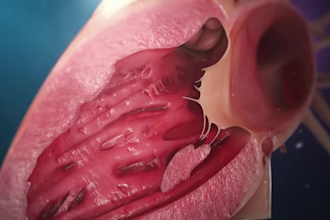 create 3d medical animation, surgery animation, anatomy 3d video