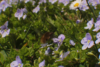create calm and relaxing video based on yours clips and images