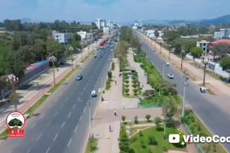 translate english amharic and afaan oromoo