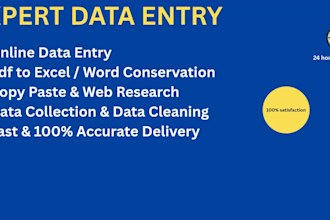 do professional data entry, typing, and copy paste work