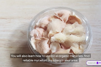 teach you how to grow edible mushrooms at home