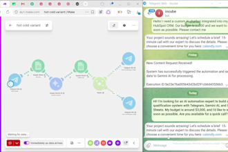 be ai automation expert using make and zapier