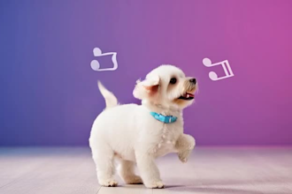 turn your ideas into amazing ai videos