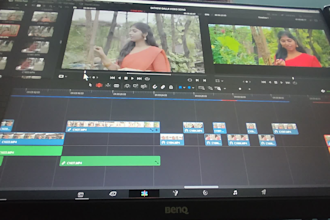 professionally edit your videos at the best price
