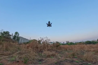 design and develop ai drones for shahed ,uav inteception