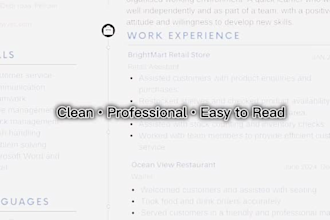 professionally format and redesign your english CV