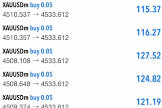 automated gold ea bot forex trading ea gold ea bot forex trading robot forex ea