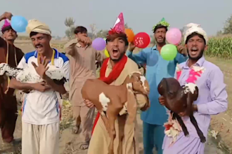 do happy birthday video