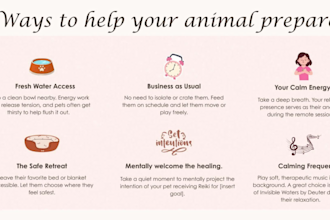 send reiki to soothe and comfort recovering pets