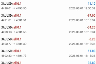 build a custom forex trading robot for automated trading strategies