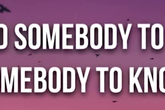 create professional custom 2d, 3d music lyric video animation
