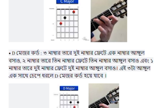 complete beginner guitar with step by step learning system