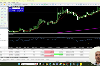 build trading bot for mt5 in python