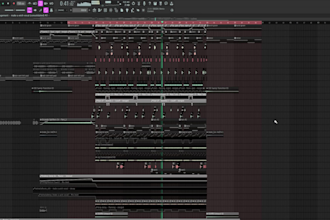 produce a professional edm track for you