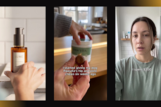 create high converting and scripted ai ugc video ads