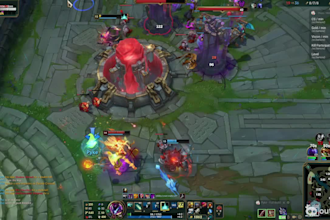master coach,  supp, adc, jgl,  all regions, snowballing legend