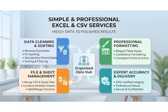 clean, organize, and format your excel or CSV data