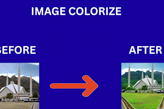create  a image colorize