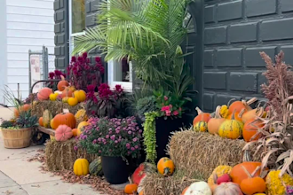 create authentic lifestyle ugc videos for beauty and lifestyle brands