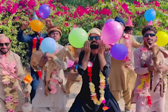 do happy birthday video happy birthday or happy birthday video