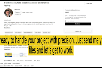 do accurate excel data entry and manual typing