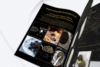 design a luxury catalog, brochure, booklet or brand document