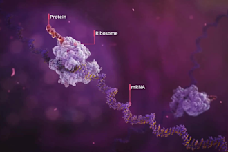 create 3d medical animation cancer immunotherapy oncology pharmaceutical moa