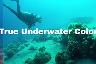 recover true underwater image colors