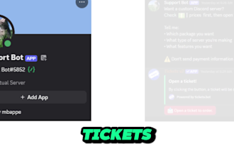 create and set up a professional discord server