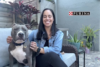 create pet ugc videos and peoduct videos for ecommerce sites and social media