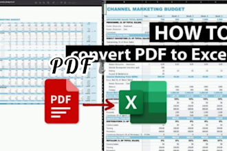 microsoft excel data entry, dashboard and reports