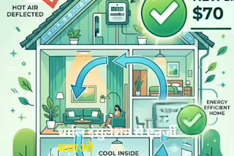 design eye catching social media poster banner and festival greeting using canva