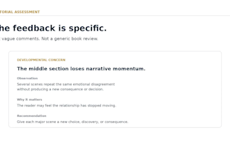 professionally assess your fiction manuscript