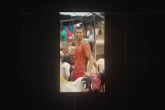 create bulk social media ai videos for your faceless channel
